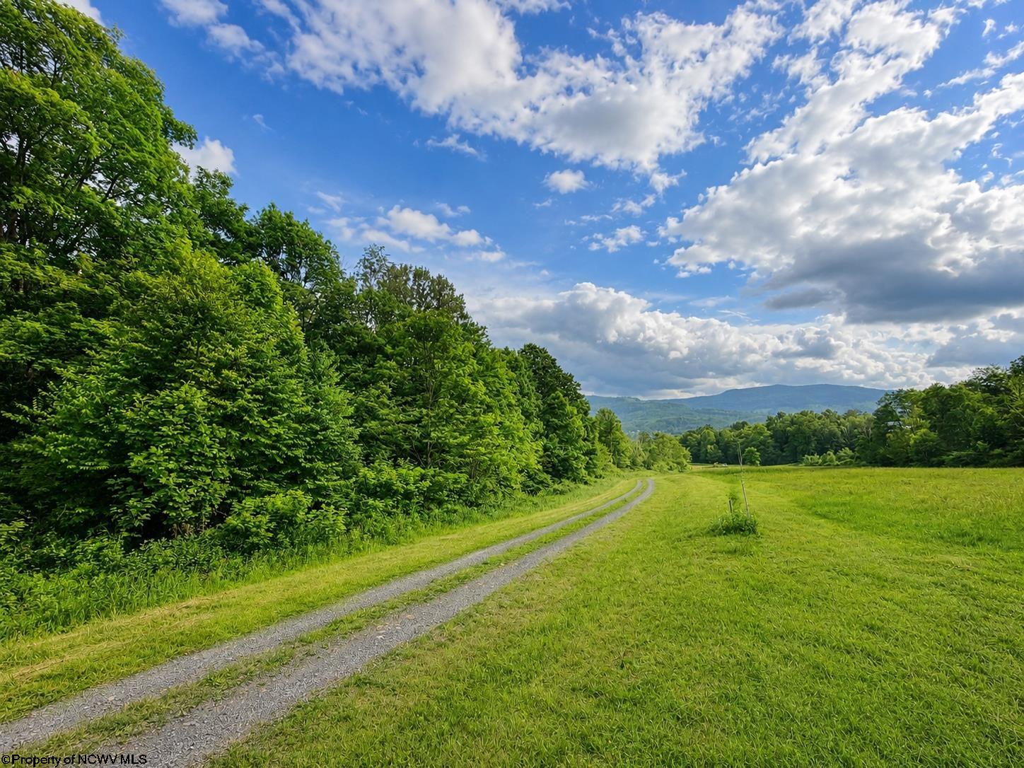 10 Iron Horse Lane Dryfork WV 26263
