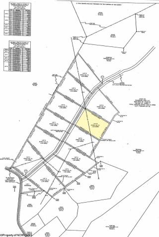 10 Iron Horse Lane Dryfork WV 26263