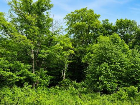 10 Iron Horse Lane Dryfork WV 26263