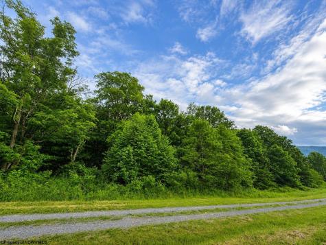 10 Iron Horse Lane Dryfork WV 26263