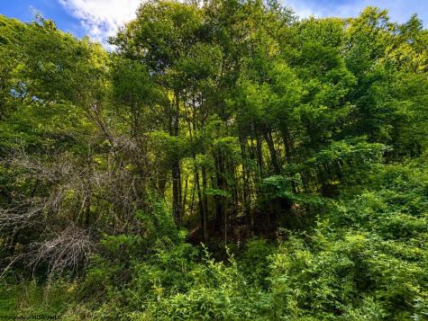 10 Iron Horse Lane Dryfork WV 26263