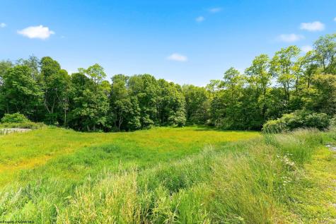 5 Laurel Run Pisgah Road Bruceton Mills WV 26525