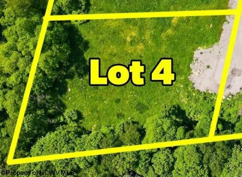 5 Laurel Run Pisgah Road Bruceton Mills WV 26525