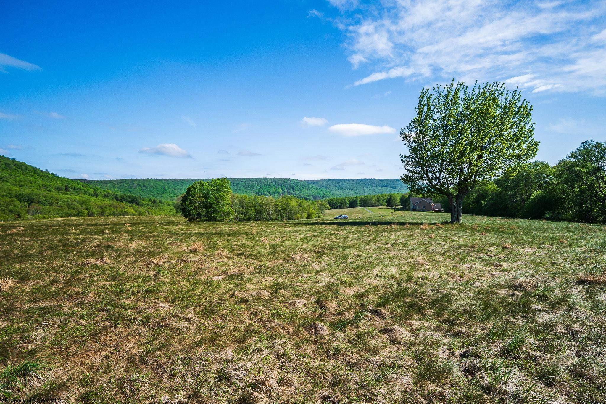 7 High Meadow Drive Davis WV 26260