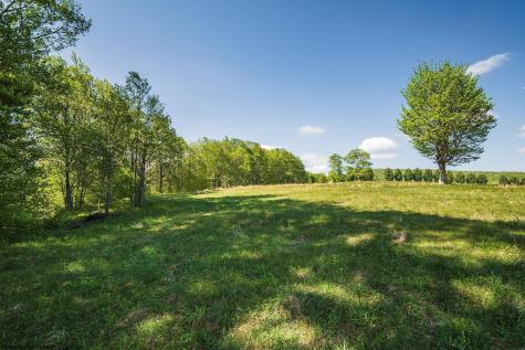 Lot 7 High Meadow Drive Davis WV 26260