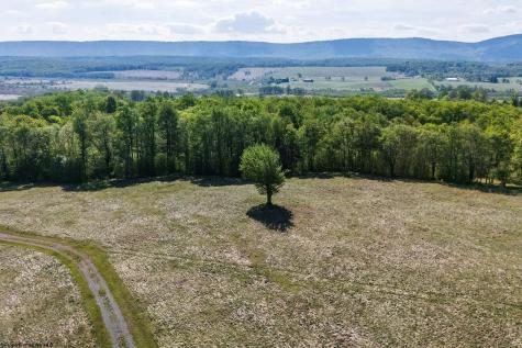 7 High Meadow Drive Davis WV 26260