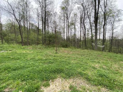 5 E Run Circle Four States WV 26572