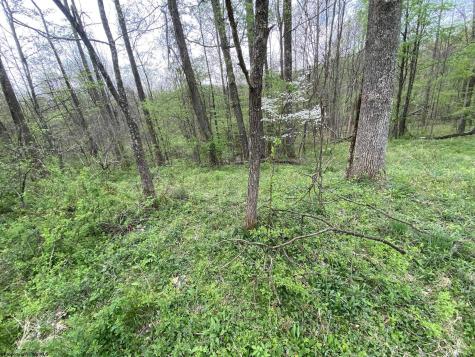5 E Run Circle Four States WV 26572
