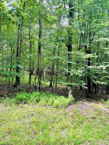 120 Hemlock Circle Terra Alta WV 26764
