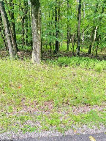 120 Hemlock Circle Terra Alta WV 26764