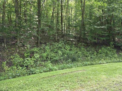 1131 Sisson Terrace Charleston WV 25320