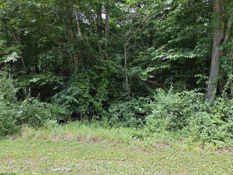 1131 Sisson Terrace Charleston WV 25320