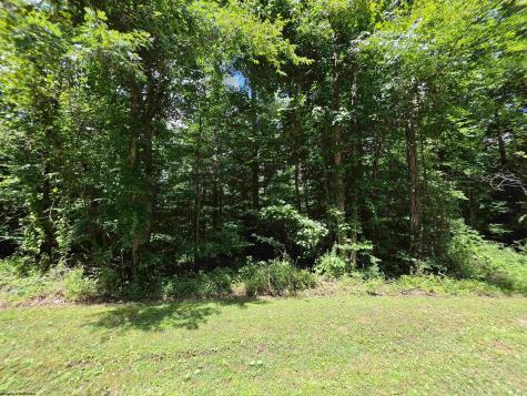 1131 Sisson Terrace Charleston WV 25320