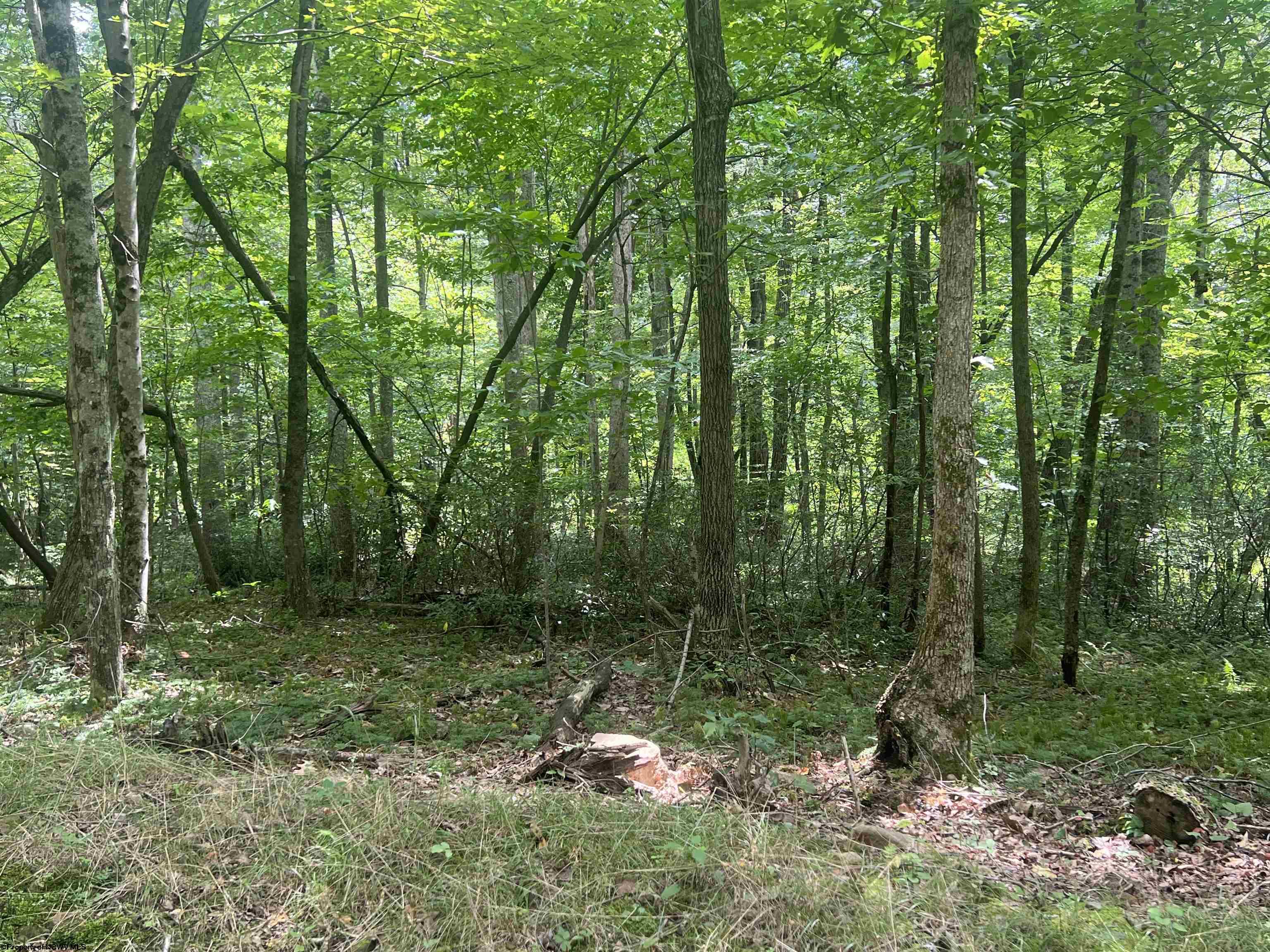 0 Derico Road Buckhannon WV 26201