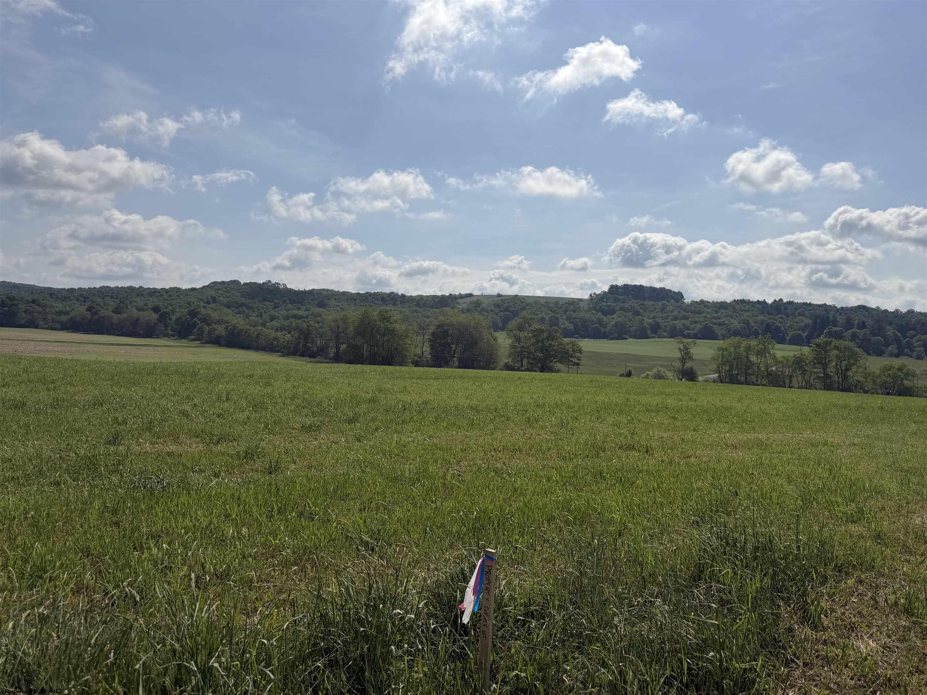 0 Clifton Salem Road Bruceton Mills WV 26525