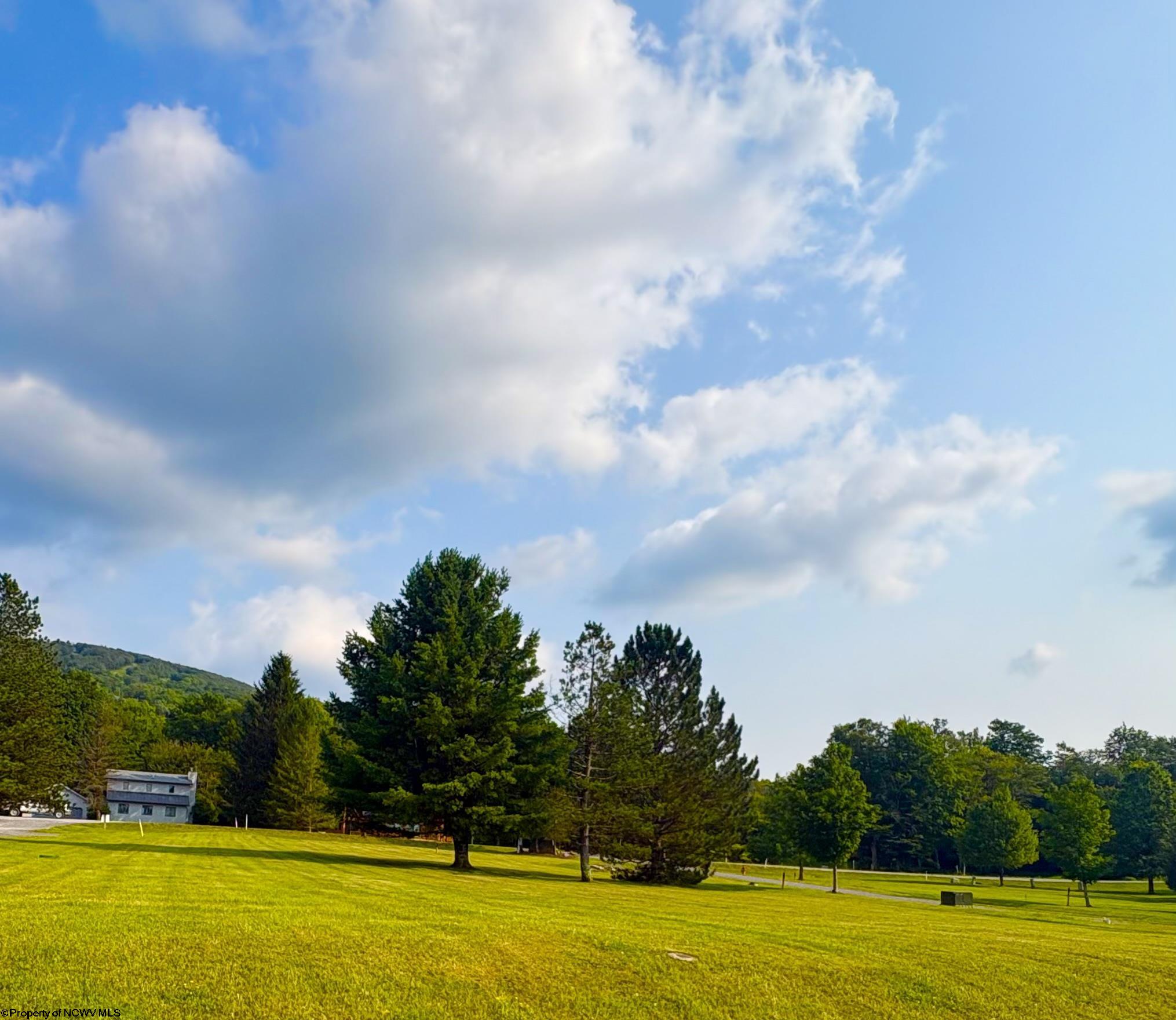 45 Penny Lane Davis WV 26260