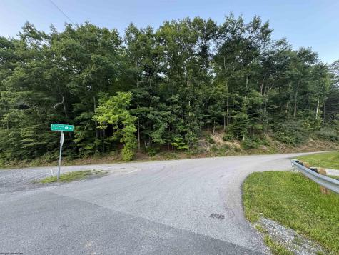 0 Georgetown Road Horner WV 26372