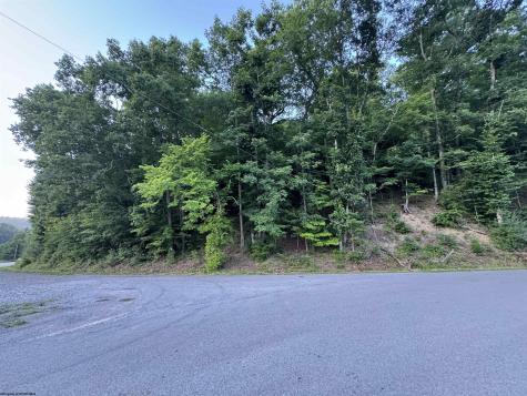 0 Georgetown Road Horner WV 26372
