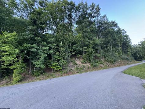 0 Georgetown Road Horner WV 26372