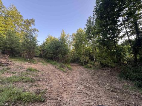 0 Georgetown Road Horner WV 26372