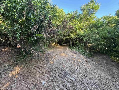 0 Georgetown Road Horner WV 26372