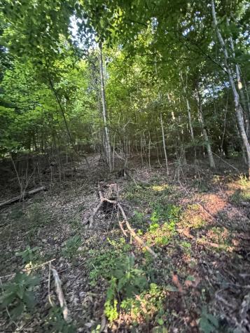 0 Georgetown Road Horner WV 26372