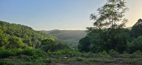 0 Georgetown Road Horner WV 26372