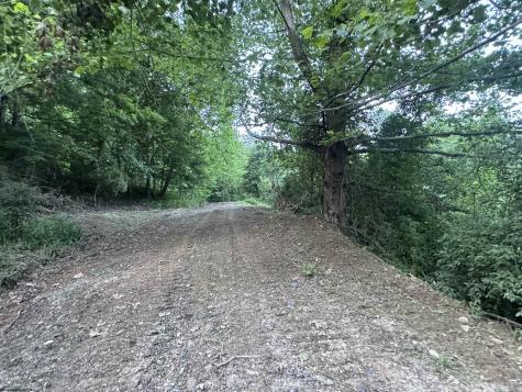 0 Georgetown Road Horner WV 26372