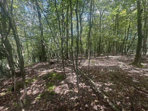 97 Daylily Court Terra Alta WV 26764