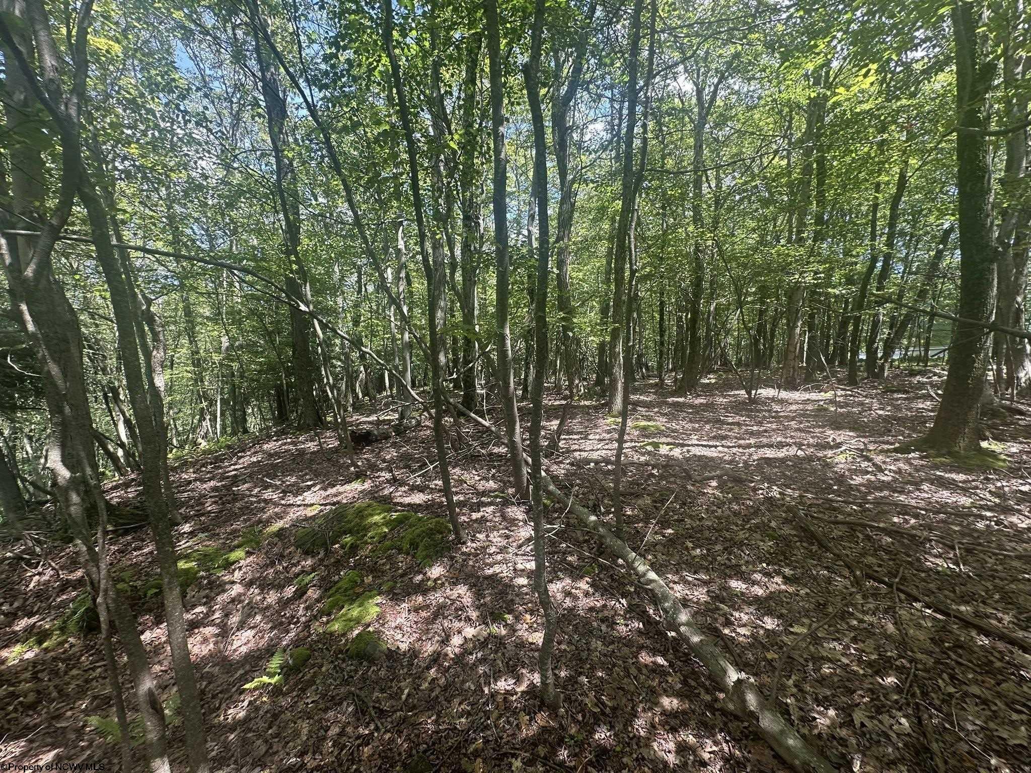 97 Daylily Court Terra Alta WV 26764