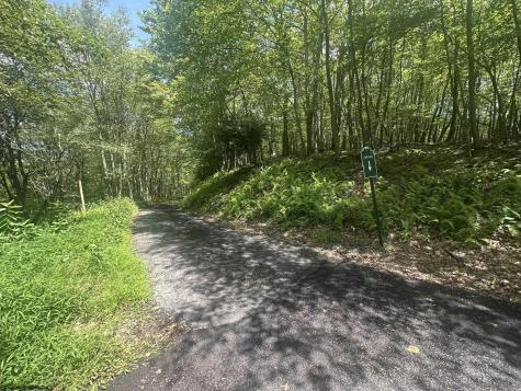 97 Daylily Court Terra Alta WV 26764