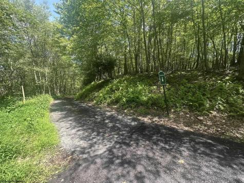97 Daylily Court Terra Alta WV 26764