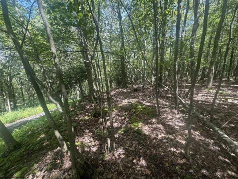 97 Daylily Court Terra Alta WV 26764