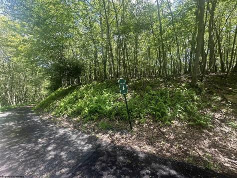 97 Daylily Court Terra Alta WV 26764