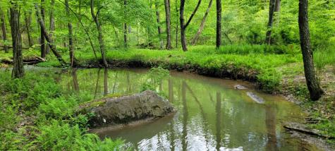 0 Maple Run Fairmont WV 26554-9999