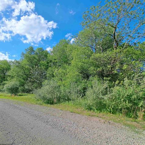 TBD Hudson Mill Road Albright WV 26519