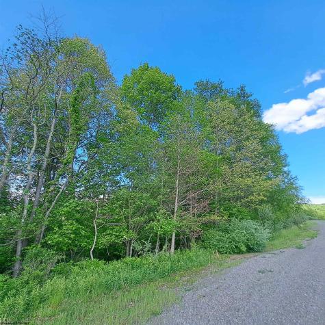 TBD Hudson Mill Road Albright WV 26519