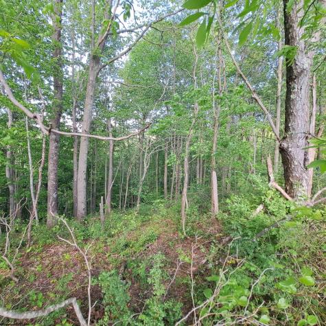 0 Hudson Mill Road Albright WV 26519