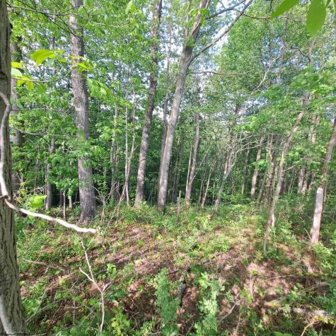 0 Hudson Mill Road Albright WV 26519