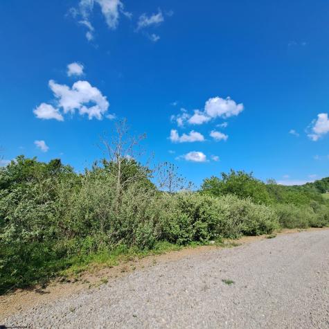 0 Hudson Mill Road Albright WV 26519