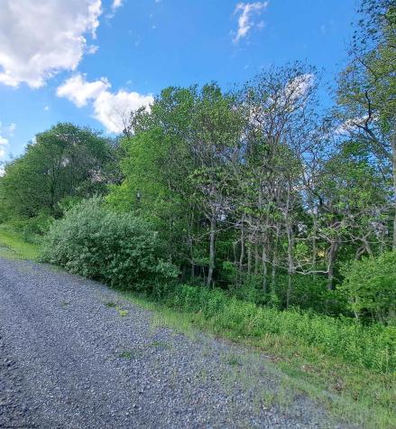 0 Hudson Mill Road Albright WV 26519