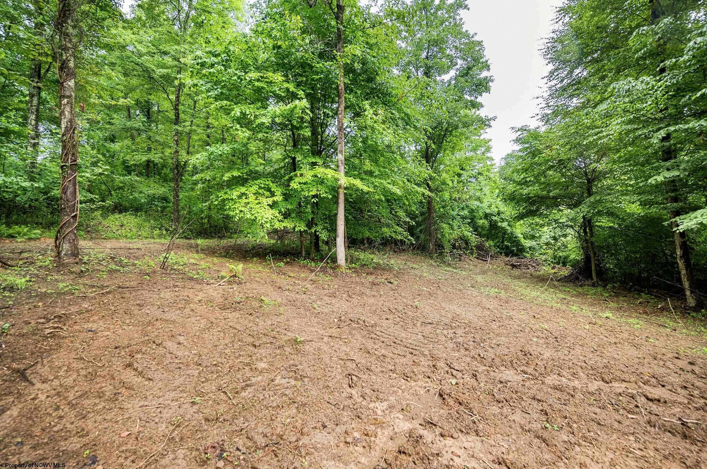 6 Burnt Cabin Road Fairmont WV 26554