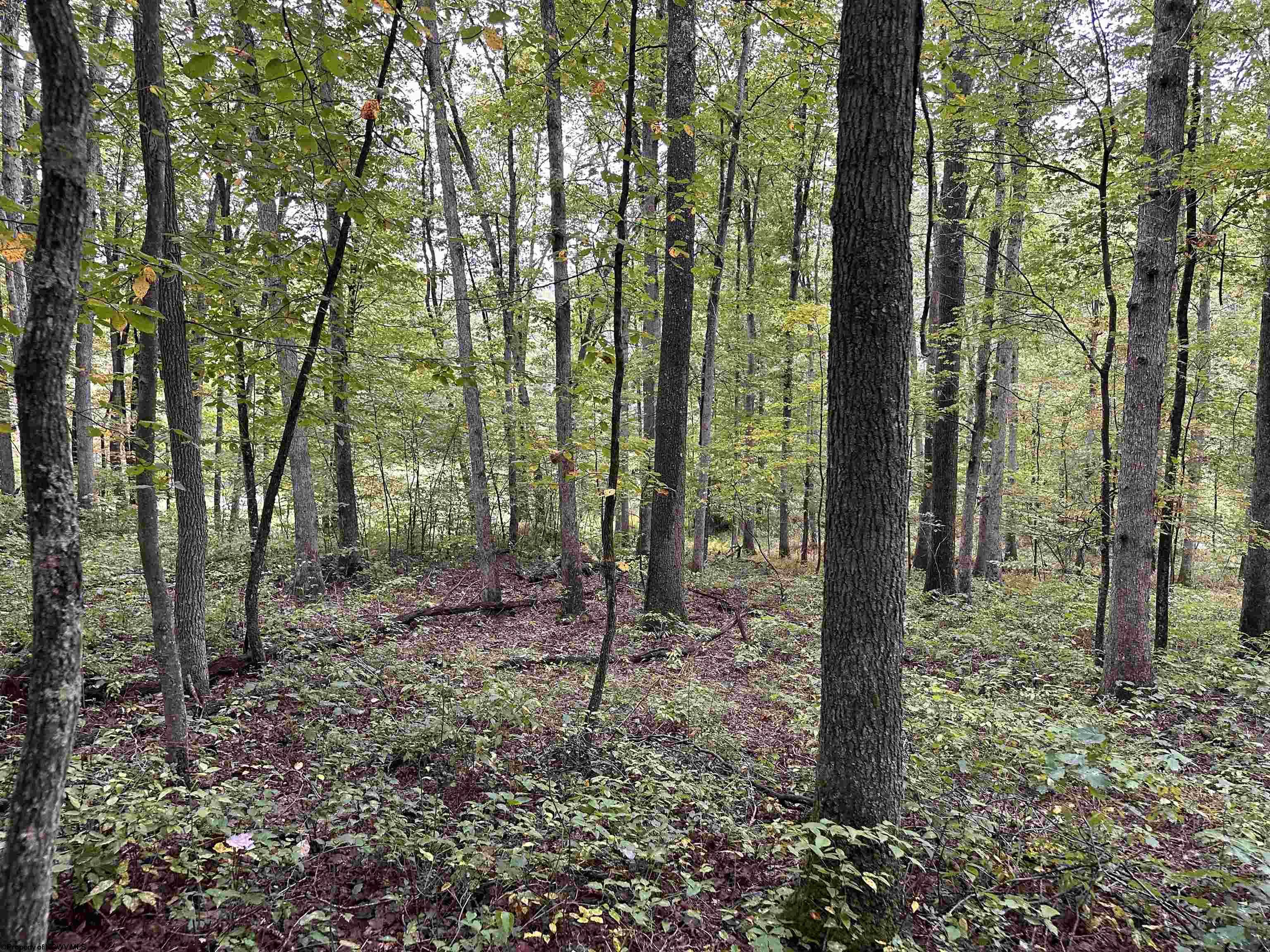 2 Deckers Trail Road Masontown WV 26542