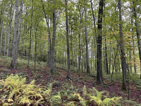 2 Deckers Trail Road Masontown WV 26542