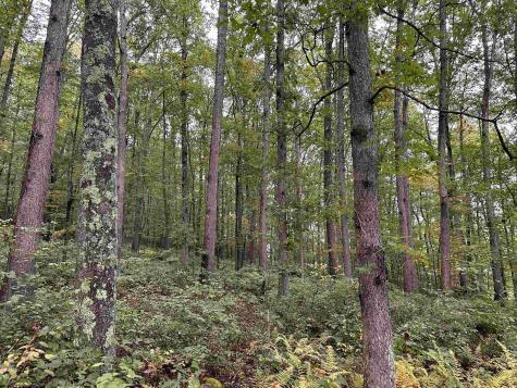2 Deckers Trail Road Masontown WV 26542