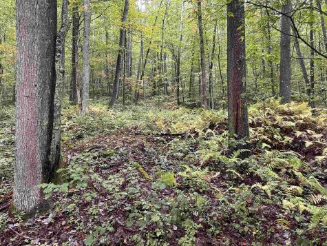 2 Deckers Trail Road Masontown WV 26542