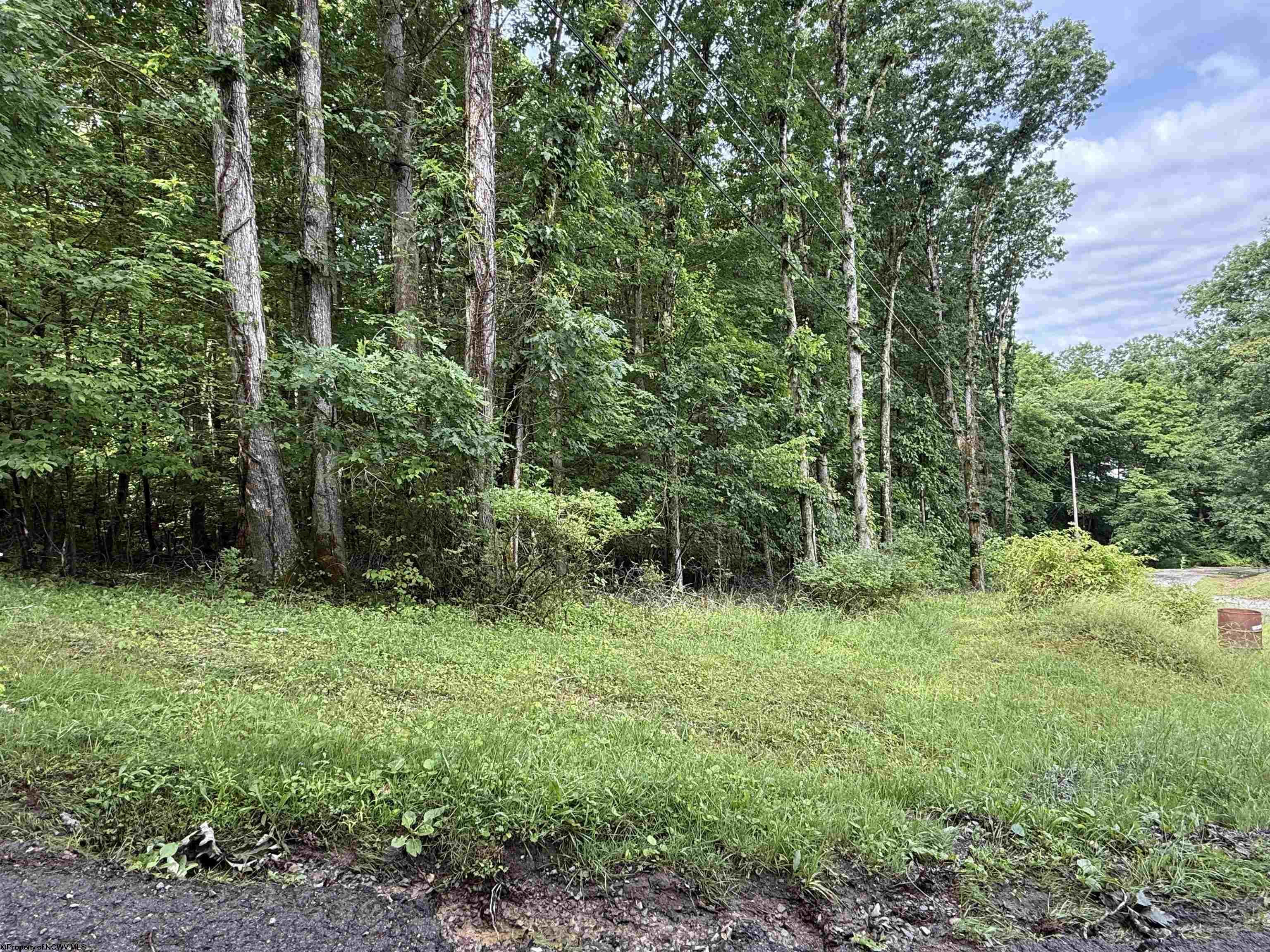0 Oak Drive Elkins WV 26241