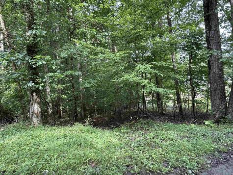 0 Oak Drive Elkins WV 26241