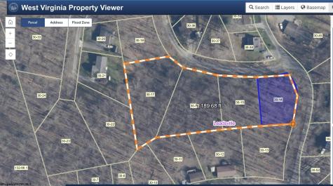 0 Oak Drive Elkins WV 26241
