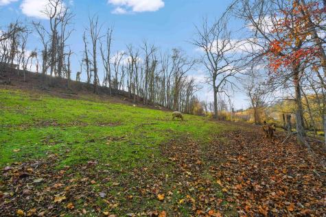 212 Halleck Road Fairmont WV 26554